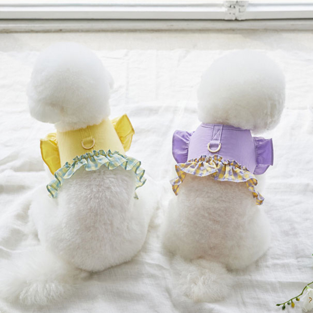 Guinzaglio per cani a contrast - Lace Teddy Lingerie recensione e prezzo